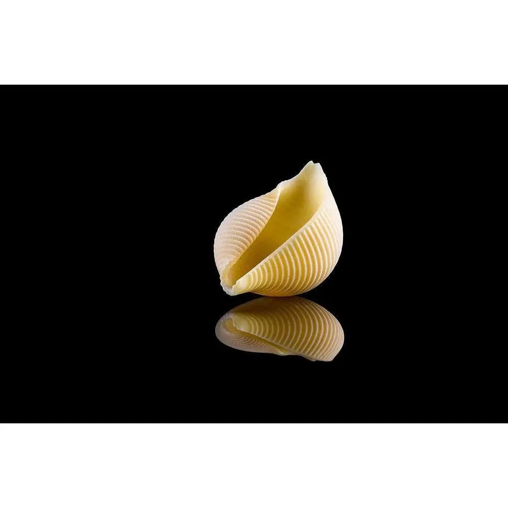 Pasta artigianale "Conchiglioni" di semola di grano duro, 500 gr pasta Food in Sicily