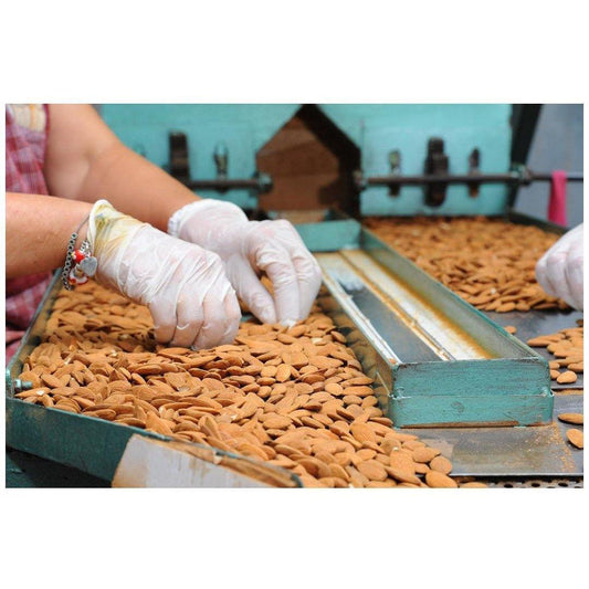 Mandorla Pizzuta di Avola sgusciata, 150 gr Frutta Secca Food in Sicily